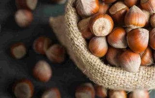 11 Manfaat Hazelnut bagi Kesehatan yang Harus Diketahui