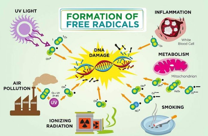 radikal-bebas-doktersehat