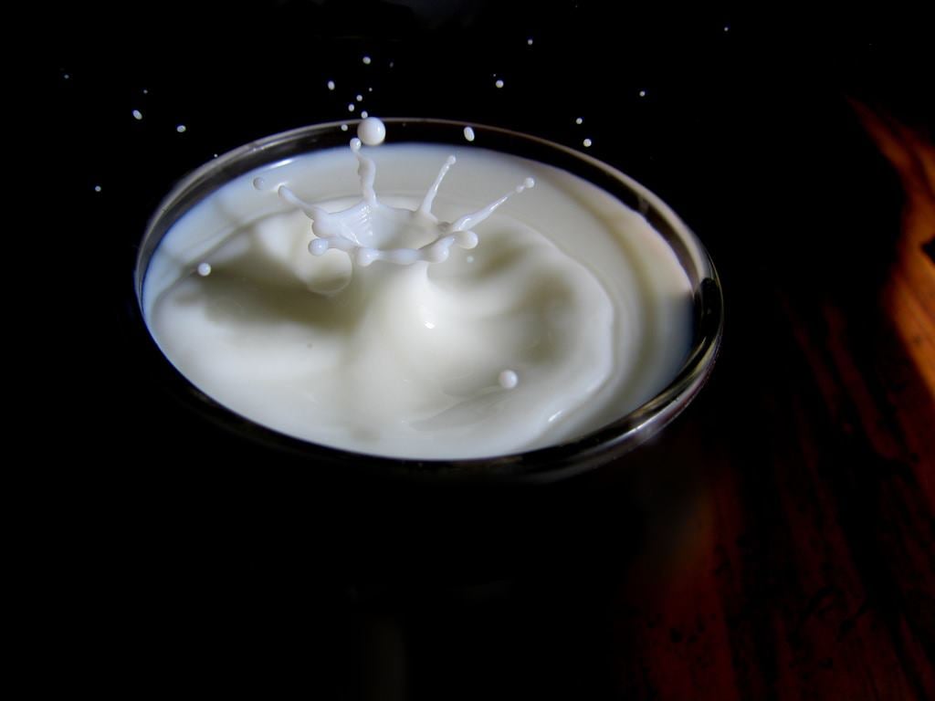 Susu Sapi Bisa Mengubah DNA dan Kepribadian Anak?