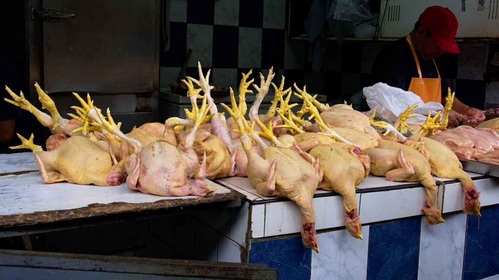 Bahaya, Jangan Makan Daging Ayam Seperti Ini