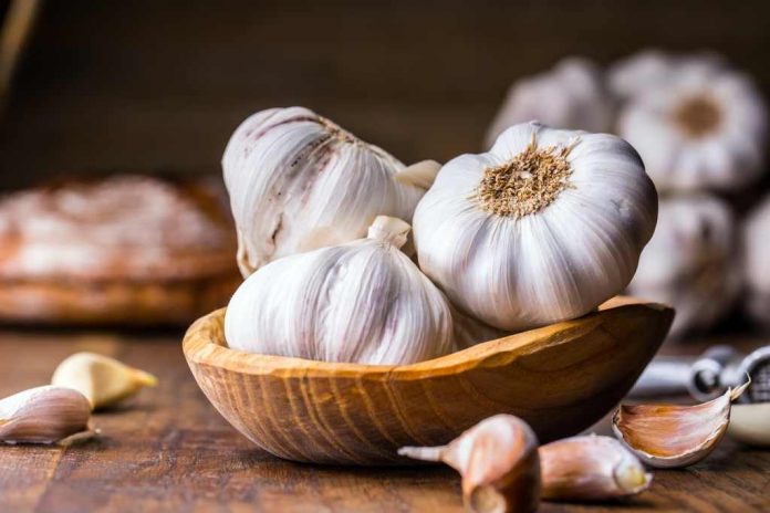diet--bawang-putih-doktersehat