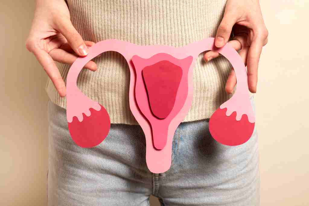 Fakta Penting Seputar Ratus Vagina yang Perlu Anda Ketahui