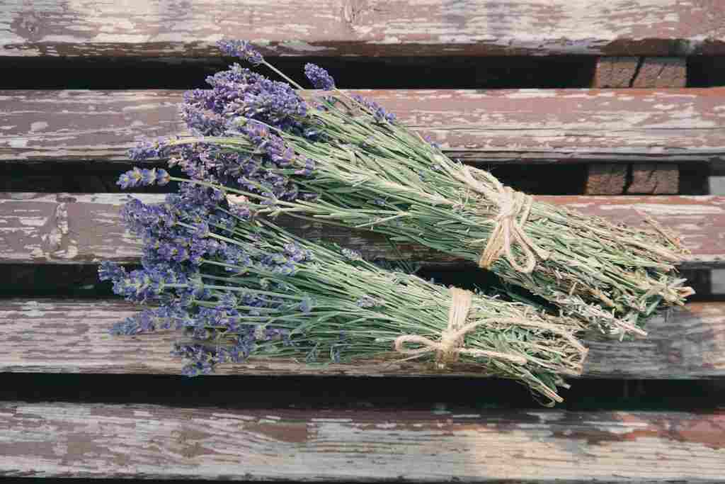 Lavender, Bahan Perawatan Ciamik untuk Kulit Sensitif