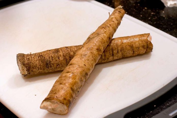 manfaat-burdock-root-doktersehat-1