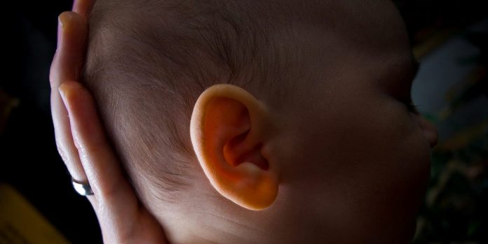 telinga_bayi_doktersehat_1 telinga_bayi_doktersehat_1