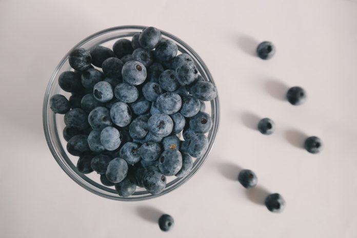 manfaat-blueberry-doktersehat
