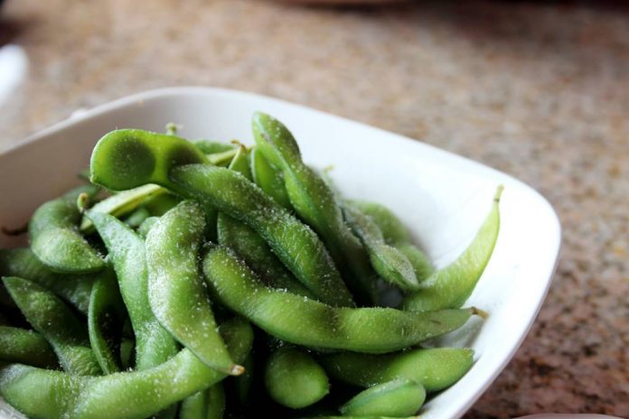 Edamame-doktersehat-1 Edamame-doktersehat-1