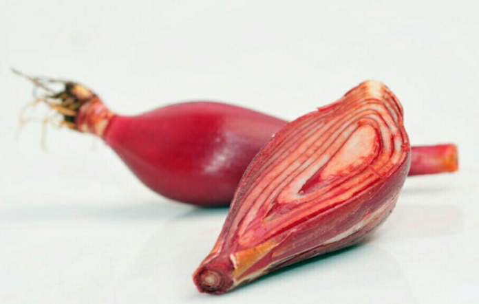 bawang-dayak-doktersehat