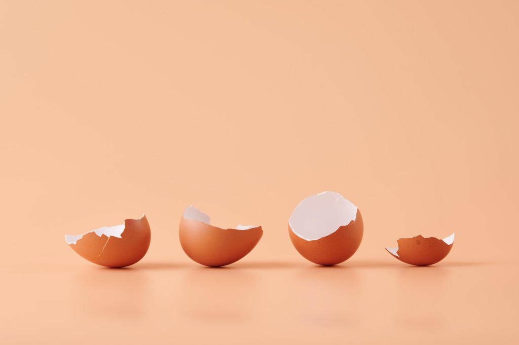 8 Manfaat Cangkang Telur dan Cara Mengonsumsinya