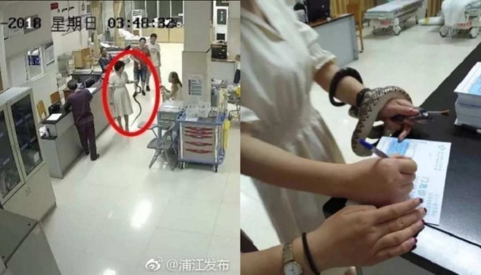 ular_digigit_racun_doktersehat_1 ular_digigit_racun_doktersehat_1