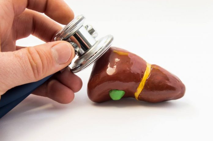 empedu-doktersehat fungsi-empedu-doktersehat