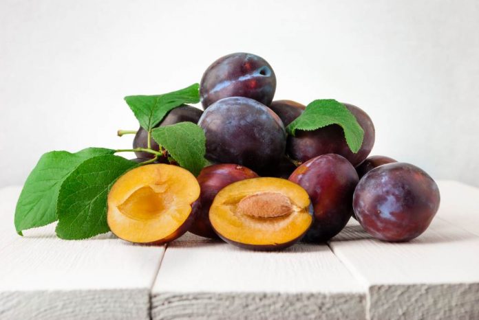 buah-plum-doktersehat