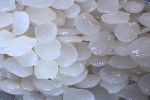 manfaat-kolang-kaling-doktersehat