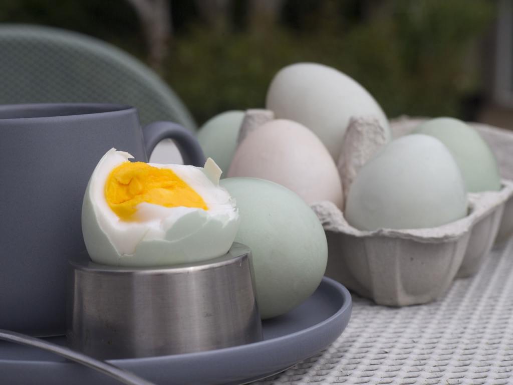 Cara Makan Telur yang Sering Kita Lakukan Ini Tidak Sehat