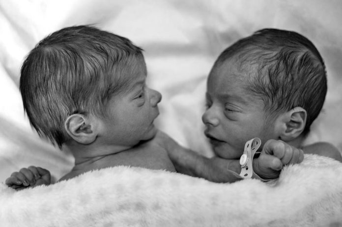 bayi-kembar-doktersehat