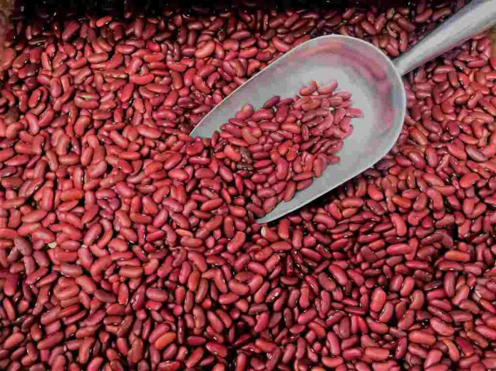 resep-kacang-merah-doktersehat