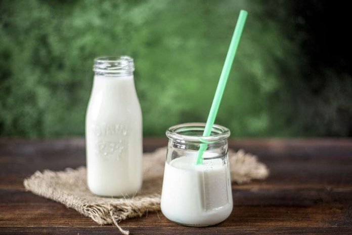 manfaat-kefir-doktersehat
