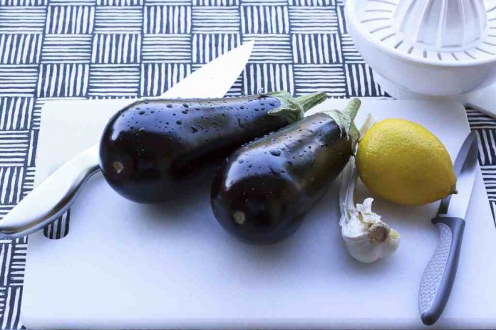 resep-terong-ungu-doktersehat