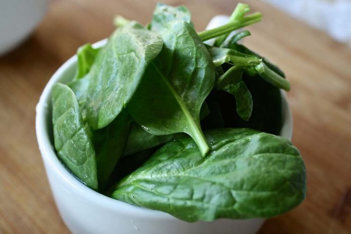 cara-membuat-sayur-bayam-doktersehat