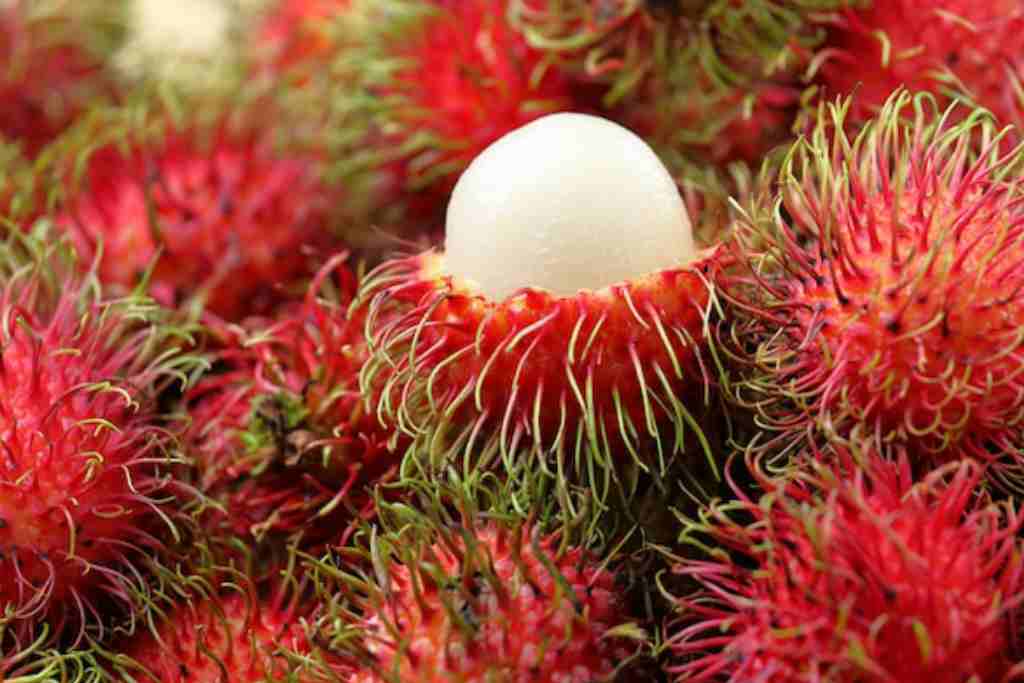 Rambutan Berbahaya bagi Penderita Diabetes? Ini Faktanya