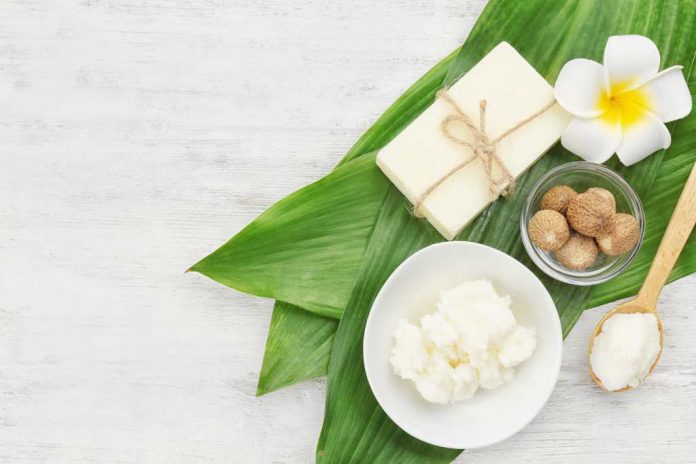 manfaat-shea-butter-doktersehat