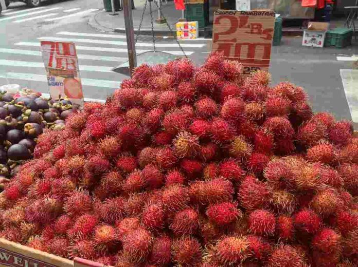 rambutan-doktersehat