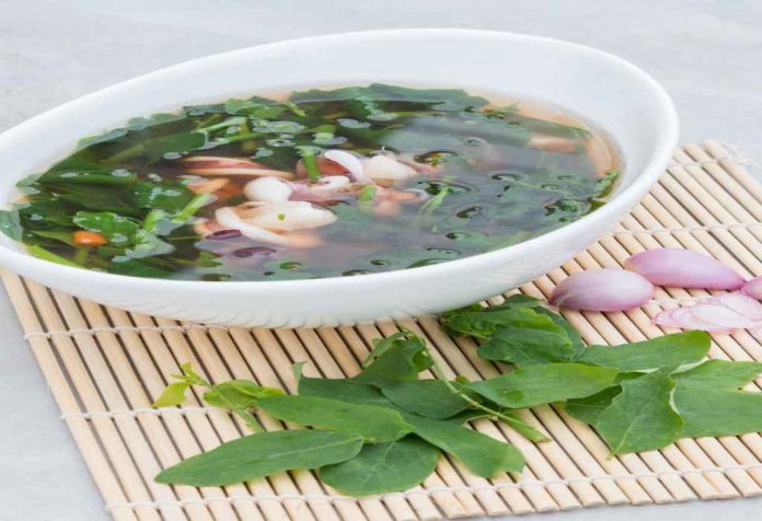 resep-masakan-daun-katuk-doktersehat