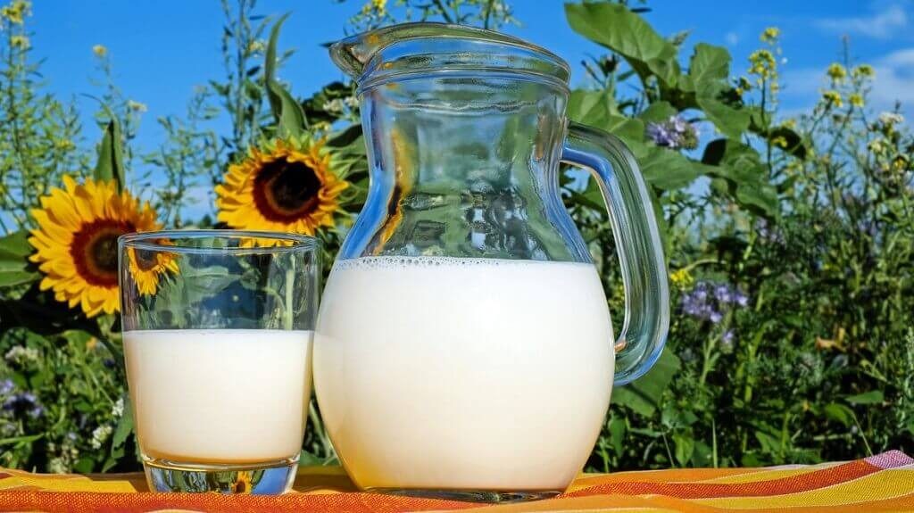 Susu Bisa Bikin Asam Urat Kambuh, Apa Benar?