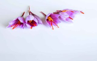 11 Manfaat Bunga Saffron yang Harus Anda Ketahui