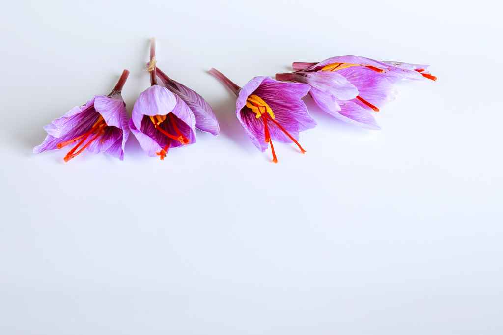11 Manfaat Bunga Saffron yang Harus Anda Ketahui