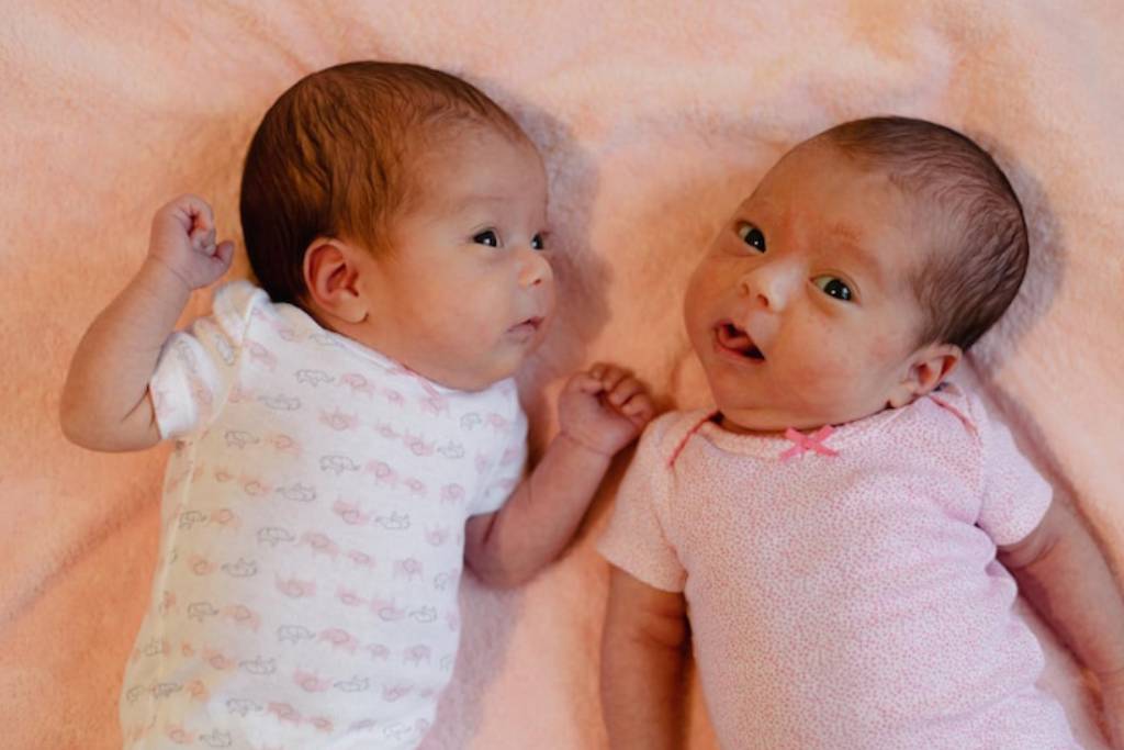 Cara Agar Bisa Hamil Anak Kembar Beserta Faktor Pendukungnya