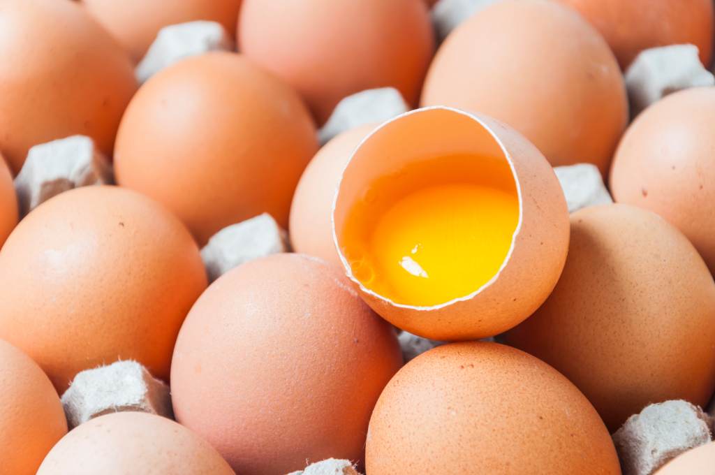 Mewaspadai 7 Dampak Terlalu Banyak Makan Telur