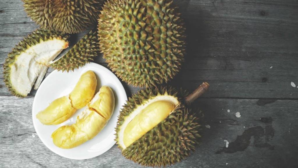 Download Gambar  Durian 