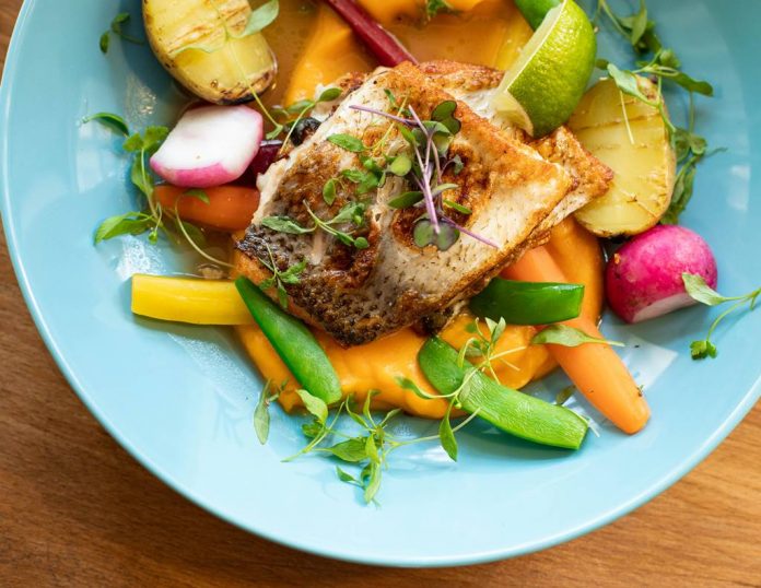 diet-microbiome-doktersehat