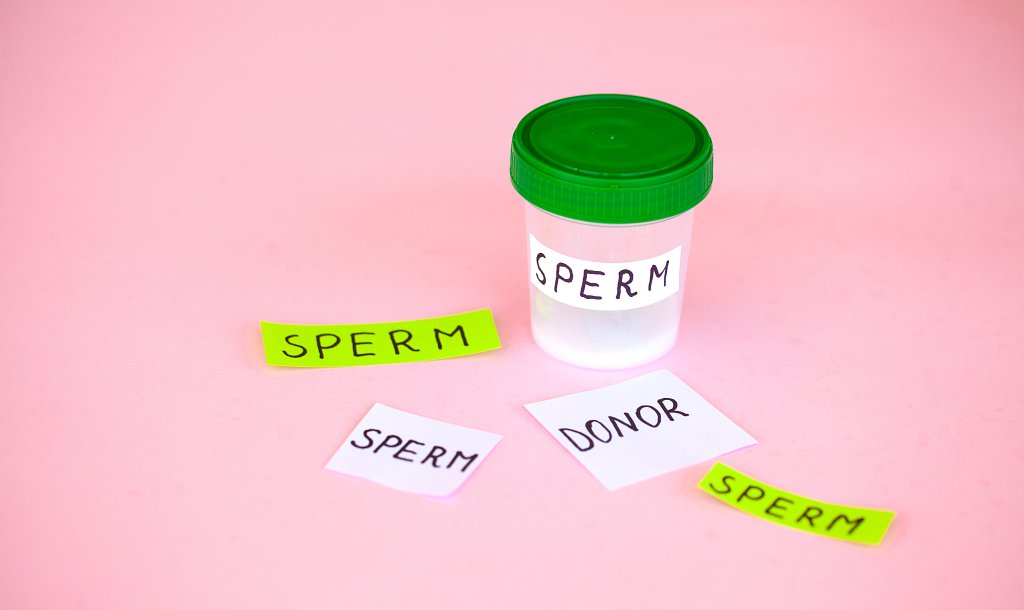 Donor Sperma: Syarat, Prosedur, dan Hak Penerima Donor
