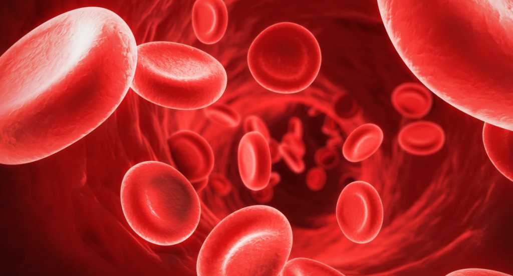 3 Fungsi Sel Darah Merah bagi Tubuh, Jangan Diabaikan!