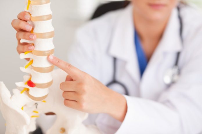 manfaat-sumsum-tulang-belakang-doktersehat bagian-bagian-sumsum-tulang-belakang-doktersehat
