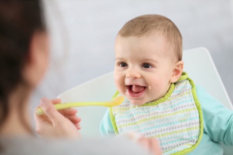 Begini Cara Menyusun Jadwal  Makan  Bayi  6 Bulan  Obat Herbal