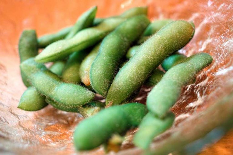 13 Manfaat Edamame, Bisa Turunkan Berat Badan!