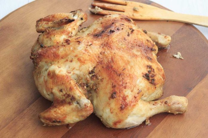 alergi-ayam-doktersehat