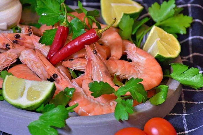 alergi-udang-doktersehat