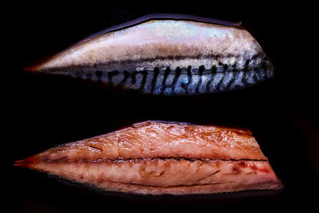 5 Ikan Laut Ini Boleh Dikonsumsi Penderita Asam Urat