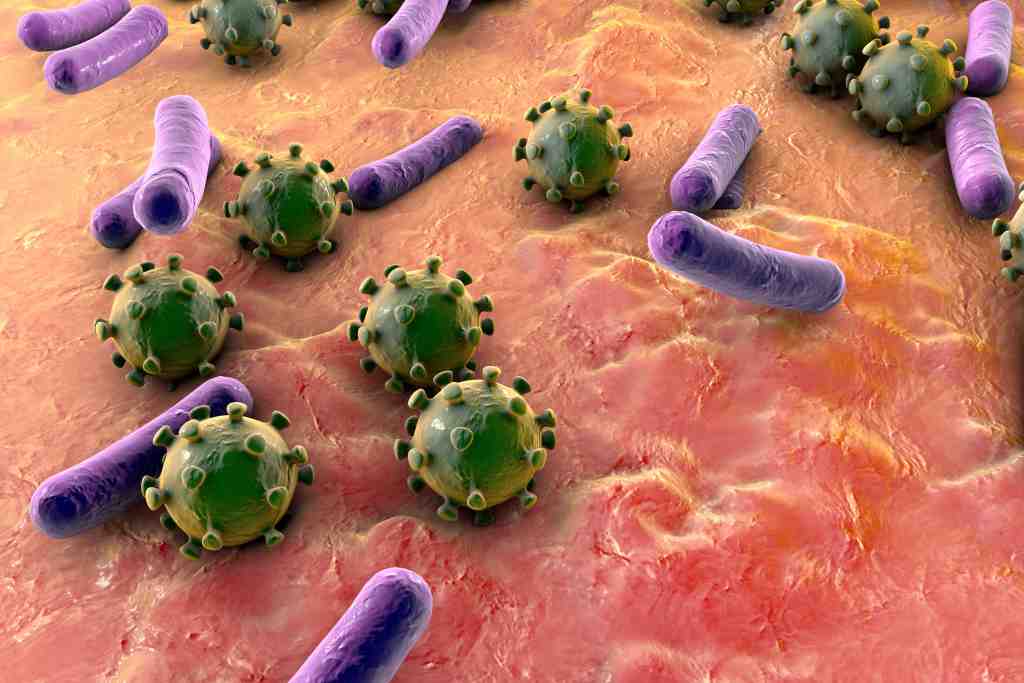 Apa Perbedaan Virus dan Bakteri? Begini Penjelasan Lengkapnya
