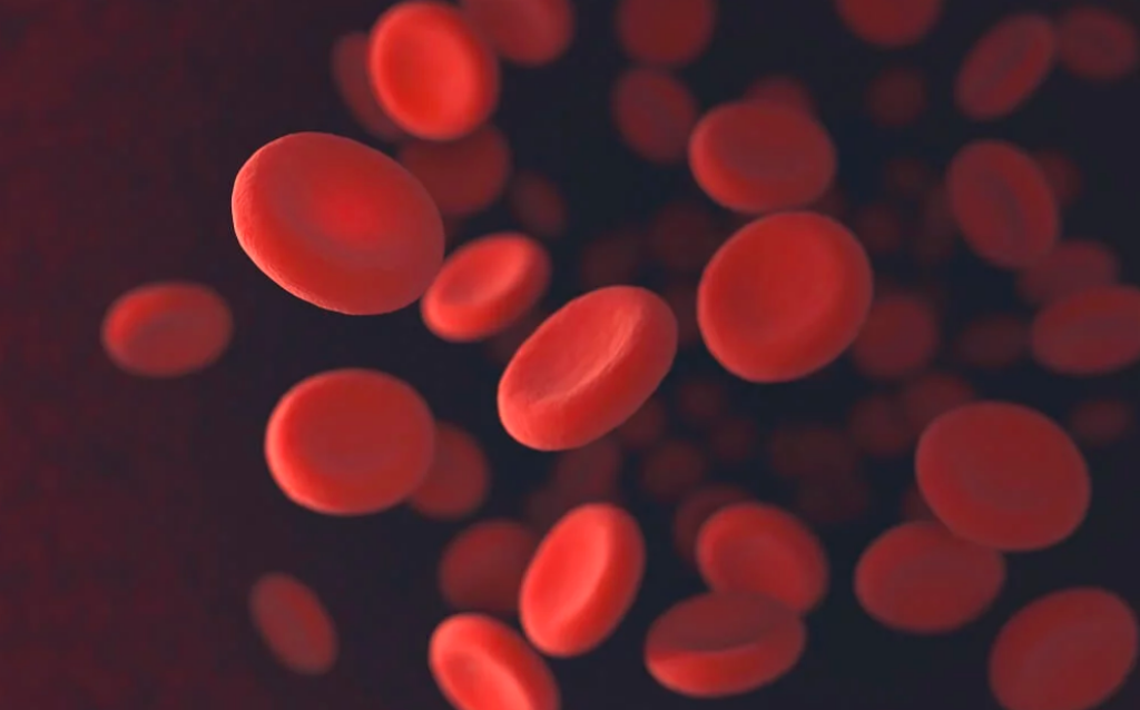 13 Cara Menaikkan Trombosit Darah yang Alami dan Medis