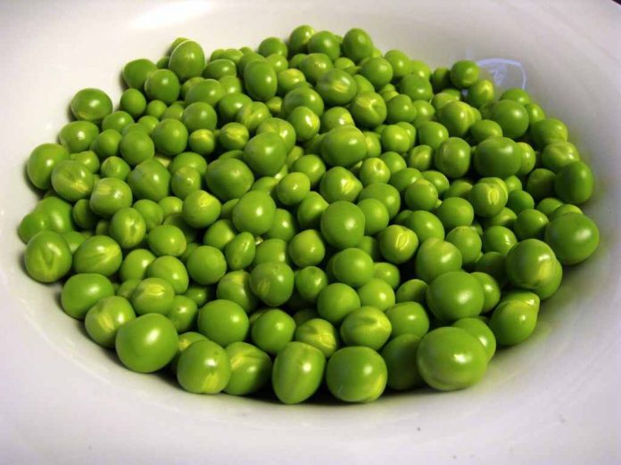 kacang-polong-doktersehat