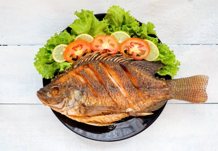 makanan-saat-hamil-doktersehat