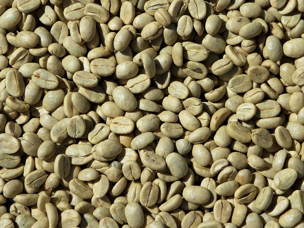 Green Coffee untuk Diet, Benarkah Efektif?