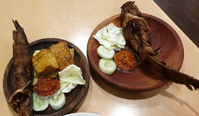 pecel-lele-doktersehat pecel-lele-doktersehat