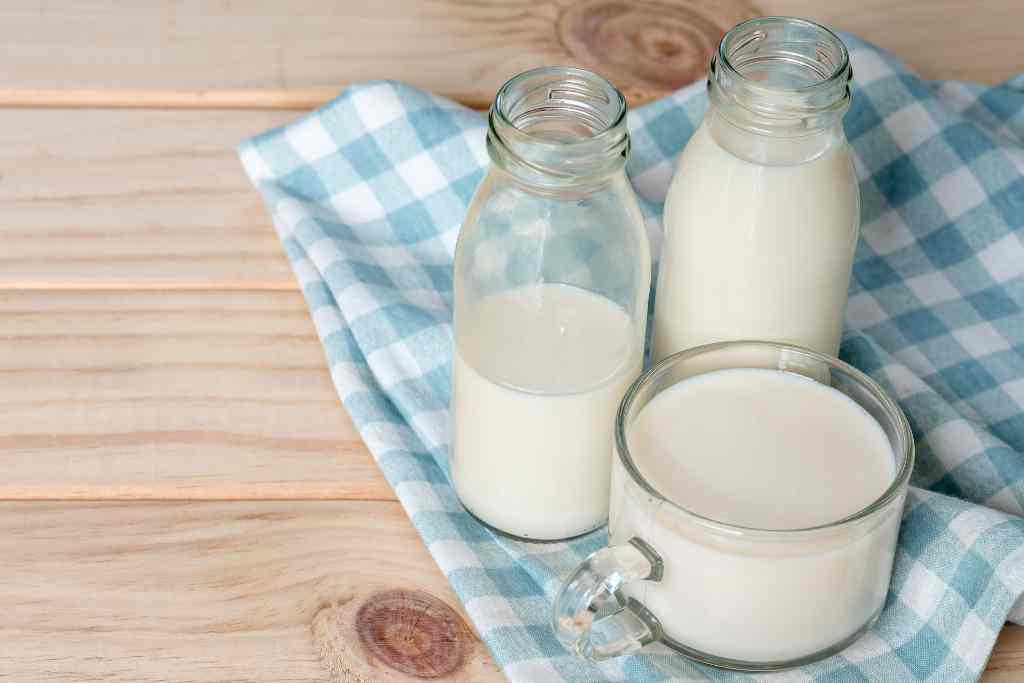 5 Manfaat Susu Unta, Tingkatkan Fungsi Otak hingga Imunitas Tubuh