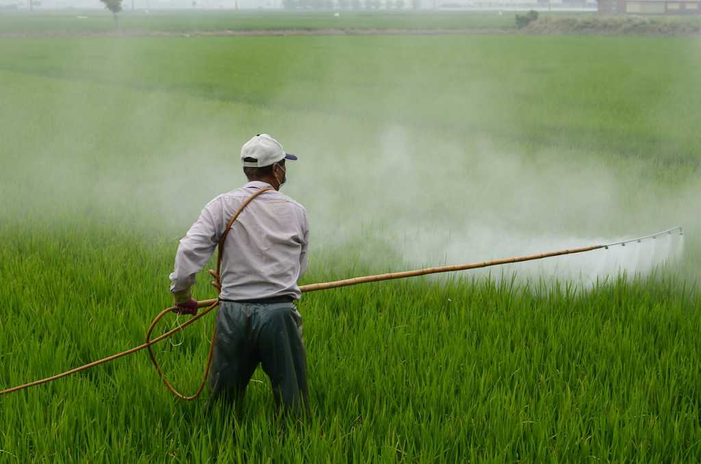 7 Bahaya Pestisida dan Cara Menghindarinya